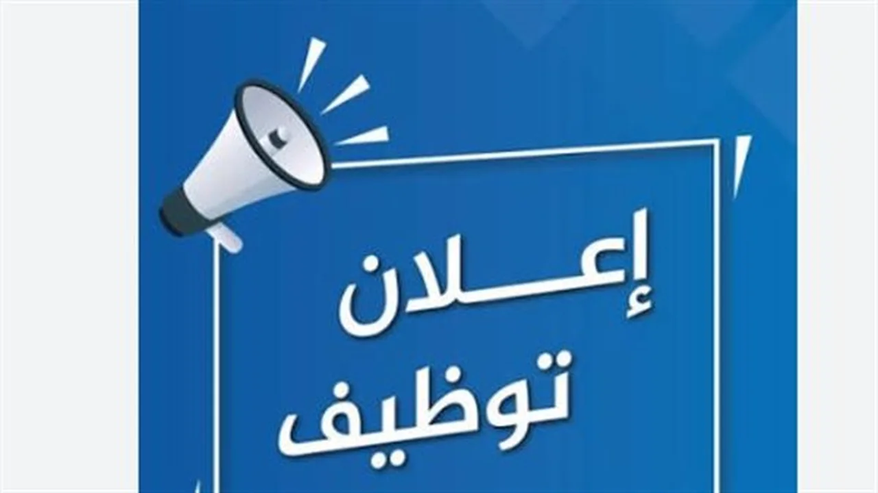 وظائف جديدة.. فرص فنية وإدارية في العين السخنة متاحة الآن
